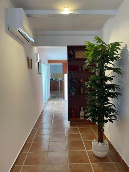 Vila Casa Da Oliveira Mourão Exteriér fotografie